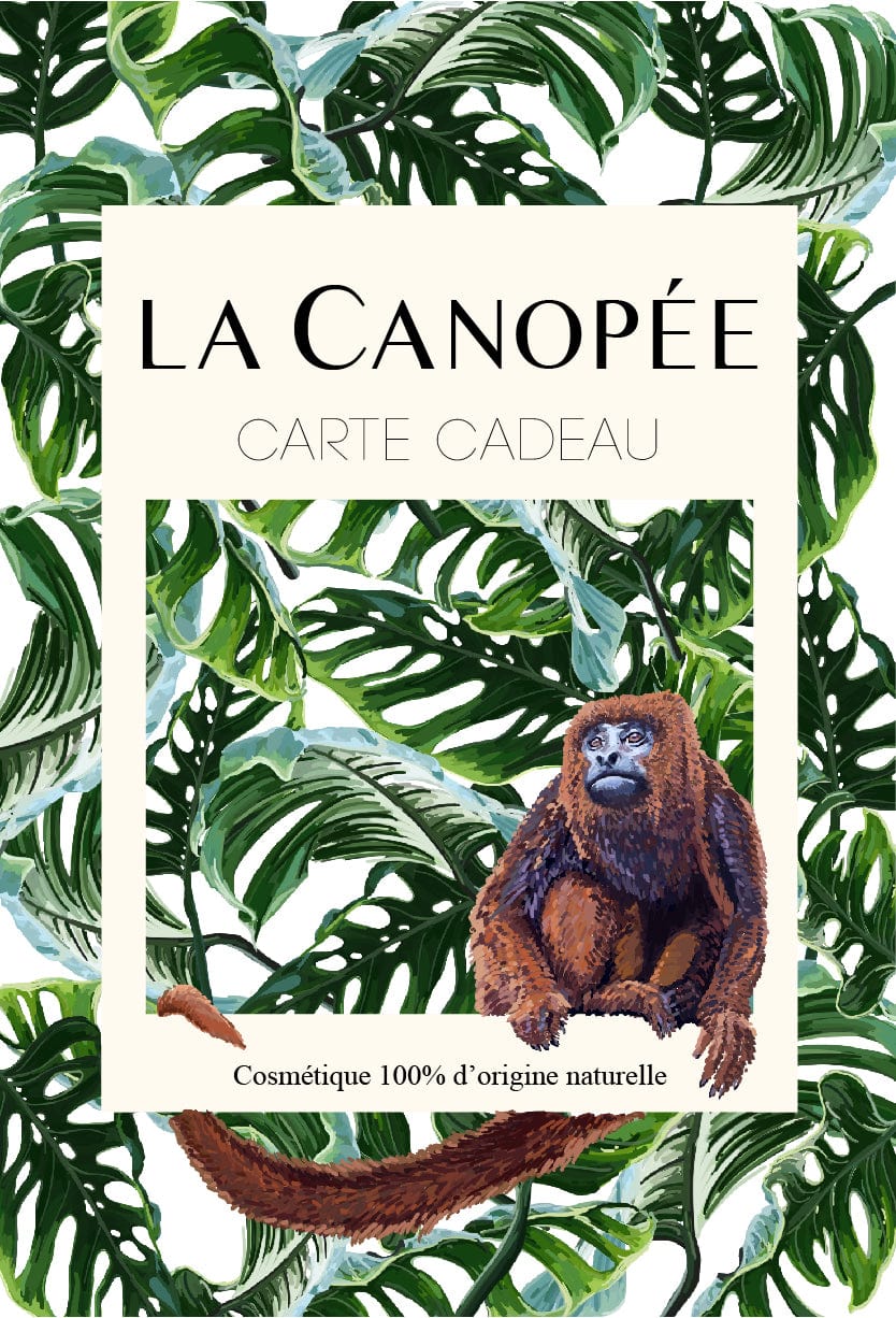 La Canopée 120,00€ EUR Carte cadeau